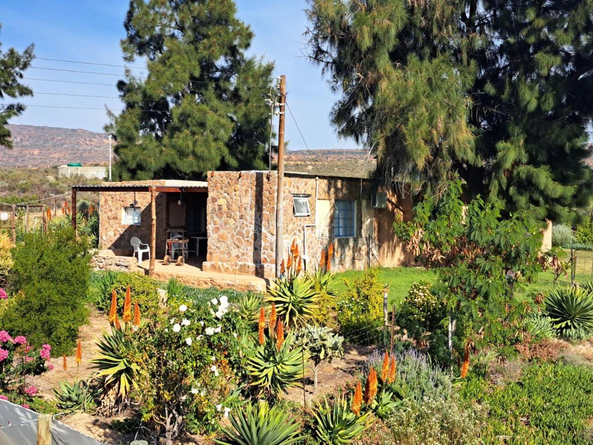Neels Cottage Clanwilliam Exterior photo